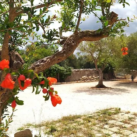 Trullo Mami Putignano