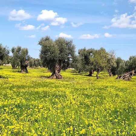 Trullo Mami פוטיניאנו