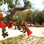 Trullo Mami