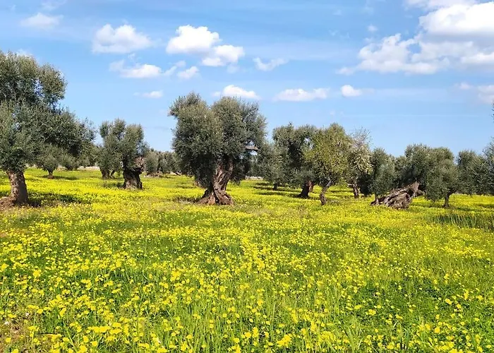 Trullo Mami 푸티냐노